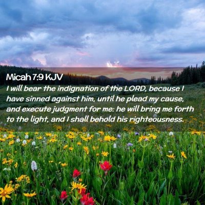 Picture 02 - Micah 7:9 KJV - I will bear the indignation of the LORD, because - Bible Verse Picture