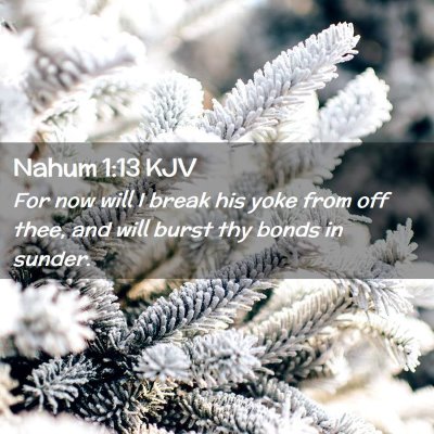 Picture 02 - Nahum 1:13 KJV - For now will I break his yoke from off thee, and - Bible Verse Picture