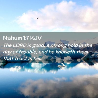 Picture 02 - Nahum 1:7 KJV - The LORD is good, a strong hold in the day of - Bible Verse Picture