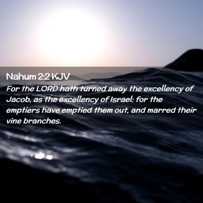 Picture 02 - Nahum 2:2 KJV - For the LORD hath turned away the excellency of - Bible Verse Picture