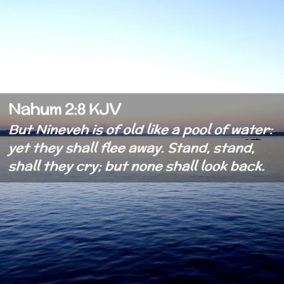 Picture 02 - Nahum 2:8 KJV - But Nineveh is of old like a pool of water: yet - Bible Verse Picture