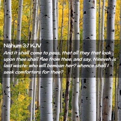 Picture 02 - Nahum 3:7 KJV - And it shall come to pass, that all they that - Bible Verse Picture