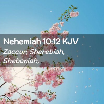 Picture 02 - Nehemiah 10:12 KJV - Zaccur, Sherebiah, - Bible Verse Picture