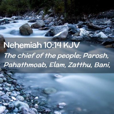 Picture 02 - Nehemiah 10:14 KJV - The chief of the people; Parosh, Pahathmoab, - Bible Verse Picture