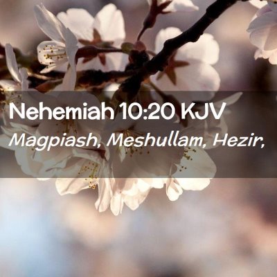 Picture 02 - Nehemiah 10:20 KJV - Magpiash, Meshullam, - Bible Verse Picture
