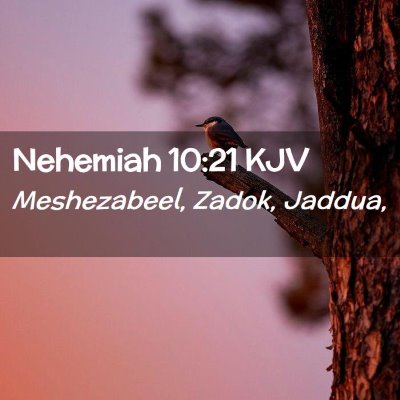 Picture 02 - Nehemiah 10:21 KJV - Meshezabeel, Zadok, - Bible Verse Picture