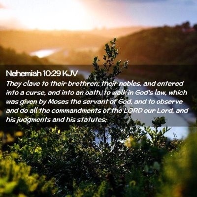 Picture 02 - Nehemiah 10:29 KJV - They clave to their brethren, their nobles, and - Bible Verse Picture