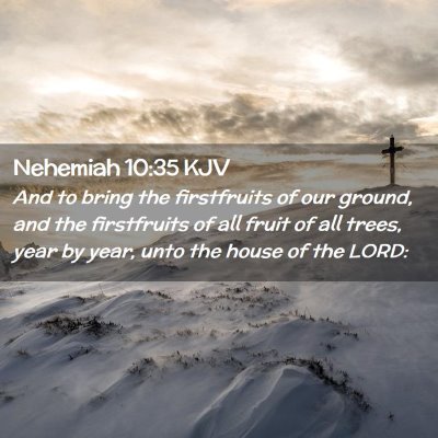 Picture 02 - Nehemiah 10:35 KJV - And to bring the firstfruits of our ground, and - Bible Verse Picture
