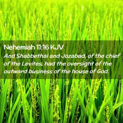 Picture 02 - Nehemiah 11:16 KJV - And Shabbethai and Jozabad, of the chief of the - Bible Verse Picture
