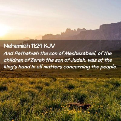 Picture 02 - Nehemiah 11:24 KJV - And Pethahiah the son of Meshezabeel, of the - Bible Verse Picture