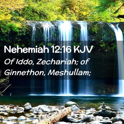Picture 02 - Nehemiah 12:16 KJV - Of Iddo, Zechariah; of Ginnethon, - Bible Verse Picture