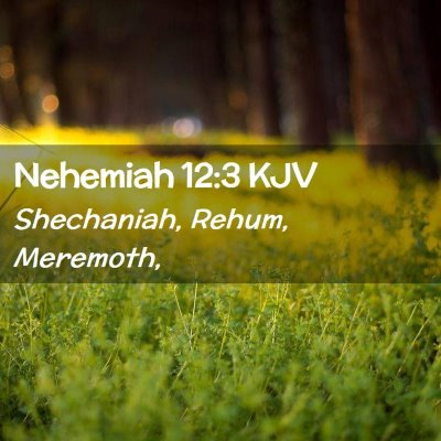 Picture 02 - Nehemiah 12:3 KJV - Shechaniah, Rehum, - Bible Verse Picture