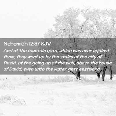 Picture 02 - Nehemiah 12:37 KJV - And at the fountain gate, which was over against - Bible Verse Picture