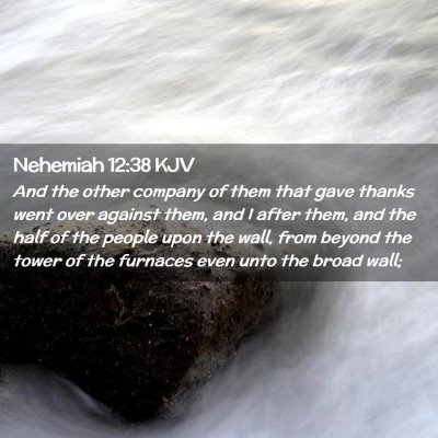 Picture 02 - Nehemiah 12:38 KJV - And the other company of them that gave thanks - Bible Verse Picture