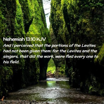 Picture 02 - Nehemiah 13:10 KJV - And I perceived that the portions of the Levites - Bible Verse Picture