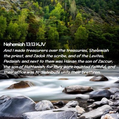 Picture 02 - Nehemiah 13:13 KJV - And I made treasurers over the treasuries, - Bible Verse Picture