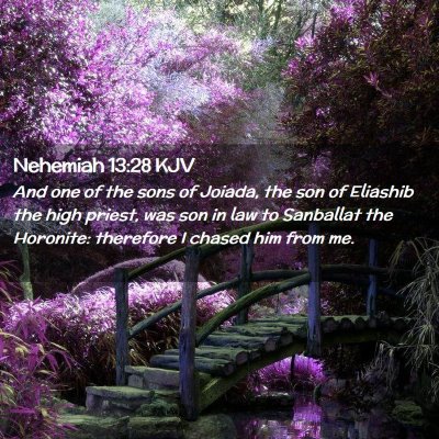 Picture 02 - Nehemiah 13:28 KJV - And one of the sons of Joiada, the son of - Bible Verse Picture