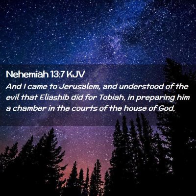 Picture 02 - Nehemiah 13:7 KJV - And I came to Jerusalem, and understood of the - Bible Verse Picture