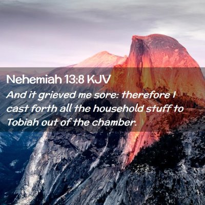 Picture 02 - Nehemiah 13:8 KJV - And it grieved me sore: therefore I cast forth - Bible Verse Picture