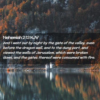 Picture 02 - Nehemiah 2:13 KJV - And I went out by night by the gate of the - Bible Verse Picture