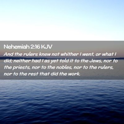 Picture 02 - Nehemiah 2:16 KJV - And the rulers knew not whither I went, or what I - Bible Verse Picture
