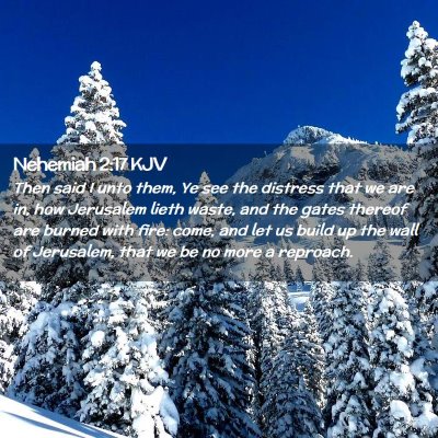 Picture 02 - Nehemiah 2:17 KJV - Then said I unto them, Ye see the distress that - Bible Verse Picture