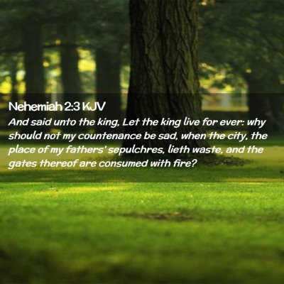 Picture 02 - Nehemiah 2:3 KJV - And said unto the king, Let the king live for - Bible Verse Picture