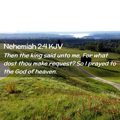 Picture 02 - Nehemiah 2:4 KJV - Then the king said unto me, For what dost thou - Bible Verse Picture