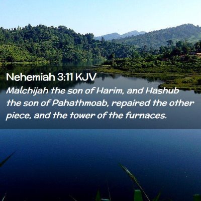 Picture 02 - Nehemiah 3:11 KJV - Malchijah the son of Harim, and Hashub the son of - Bible Verse Picture