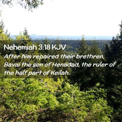 Picture 02 - Nehemiah 3:18 KJV - After him repaired their brethren, Bavai the son - Bible Verse Picture