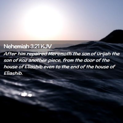 Picture 02 - Nehemiah 3:21 KJV - After him repaired Meremoth the son of Urijah the - Bible Verse Picture