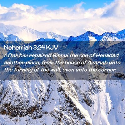 Picture 02 - Nehemiah 3:24 KJV - After him repaired Binnui the son of Henadad - Bible Verse Picture