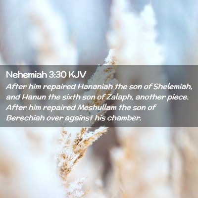 Picture 02 - Nehemiah 3:30 KJV - After him repaired Hananiah the son of Shelemiah, - Bible Verse Picture