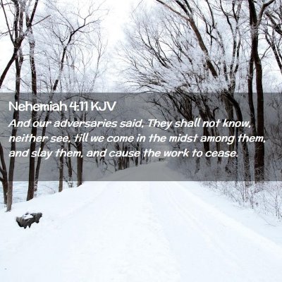Picture 02 - Nehemiah 4:11 KJV - And our adversaries said, They shall not know, - Bible Verse Picture