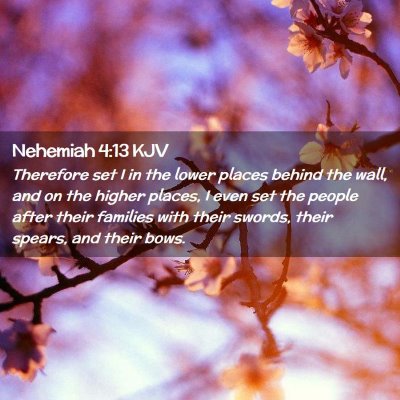 Picture 02 - Nehemiah 4:13 KJV - Therefore set I in the lower places behind the - Bible Verse Picture