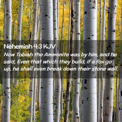 Picture 02 - Nehemiah 4:3 KJV - Now Tobiah the Ammonite was by him, and he said, - Bible Verse Picture