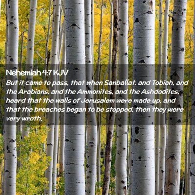 Picture 02 - Nehemiah 4:7 KJV - But it came to pass, that when Sanballat, and - Bible Verse Picture