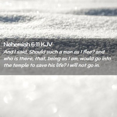Picture 02 - Nehemiah 6:11 KJV - And I said, Should such a man as I flee? and who - Bible Verse Picture