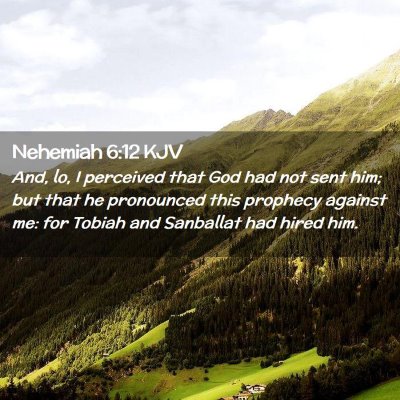 Picture 02 - Nehemiah 6:12 KJV - And, lo, I perceived that God had not sent him; - Bible Verse Picture