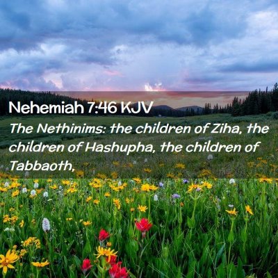 Picture 02 - Nehemiah 7:46 KJV - The Nethinims: the children of Ziha, the children - Bible Verse Picture