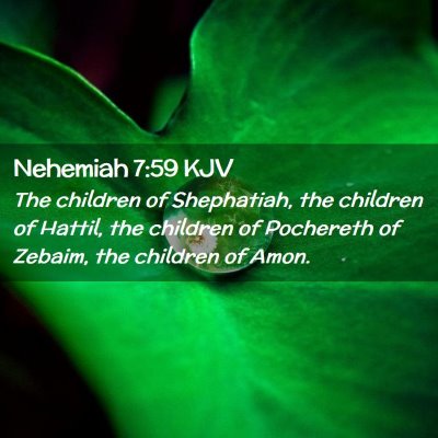 Picture 02 - Nehemiah 7:59 KJV - The children of Shephatiah, the children of - Bible Verse Picture