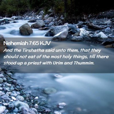 Picture 02 - Nehemiah 7:65 KJV - And the Tirshatha said unto them, that they - Bible Verse Picture