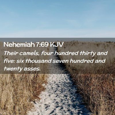Picture 02 - Nehemiah 7:69 KJV - Their camels, four hundred thirty and five: six - Bible Verse Picture