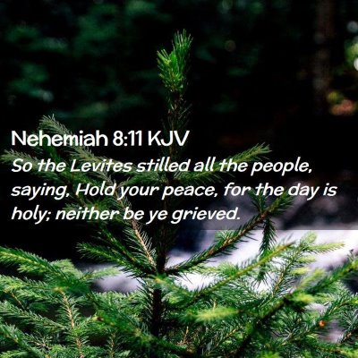 Picture 02 - Nehemiah 8:11 KJV - So the Levites stilled all the people, saying, - Bible Verse Picture