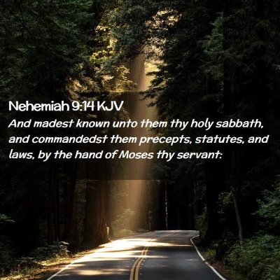 Picture 02 - Nehemiah 9:14 KJV - And madest known unto them thy holy sabbath, and - Bible Verse Picture