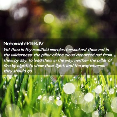 Picture 02 - Nehemiah 9:19 KJV - Yet thou in thy manifold mercies forsookest them - Bible Verse Picture