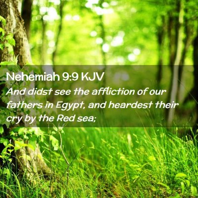 Picture 02 - Nehemiah 9:9 KJV - And didst see the affliction of our fathers in - Bible Verse Picture