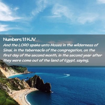 Picture 02 - Numbers 1:1 KJV - And the LORD spake unto Moses in the wilderness - Bible Verse Picture