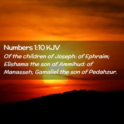 Picture 02 - Numbers 1:10 KJV - Of the children of Joseph: of Ephraim; Elishama - Bible Verse Picture