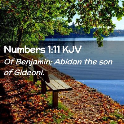 Picture 02 - Numbers 1:11 KJV - Of Benjamin; Abidan the son of - Bible Verse Picture